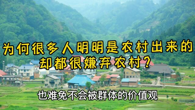 为什么很多人明明是农村出来的,却都很嫌弃农村? #农村生活 #人性现实 #乡村故事 #父母必看 #农村生活