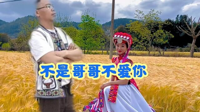 不是哥哥不爱你