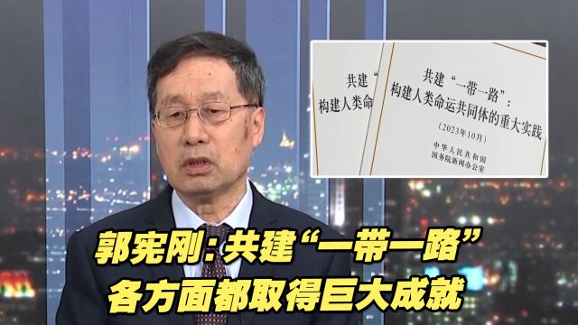 郭宪刚:十年磨一剑,共建“一带一路”各方面都取得巨大成就