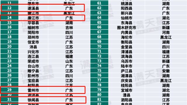 强势登榜!湛江4地荣列“全国乡村振兴百强县”