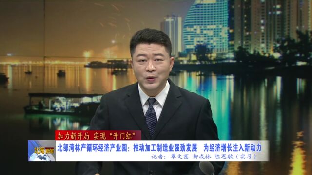 北部湾林产循环经济产业园:推动加工制造业强劲发展,为经济增长注入新动力