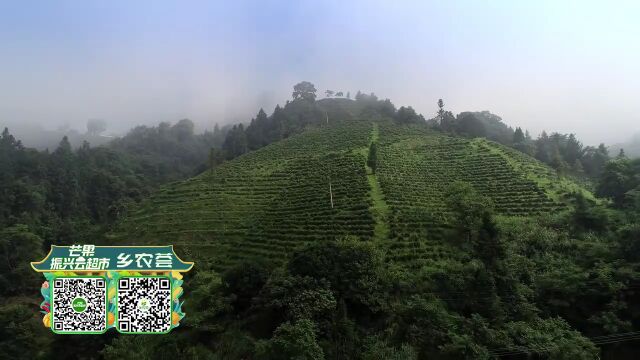 明溪口镇:雷锋精神传万家 红马甲扮靓旅游小镇