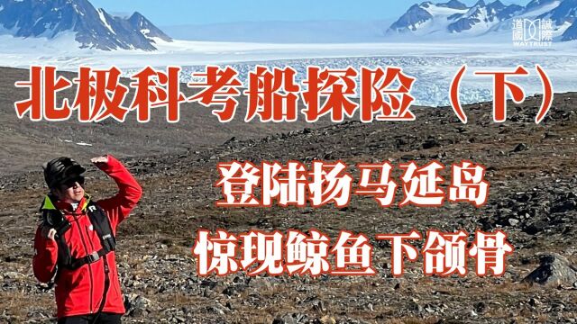 登陆曾经的活火山岛屿扬马延岛,海鸥海鹦栖息地,惊现鲸鱼骨头!采访67岁老大哥不会英语却能自驾游玩五国,探访北极!