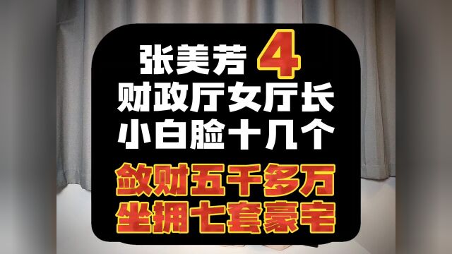 (第4集)江苏省财政厅女厅长张美芳,在七套豪宅里养了十几个小白脸.