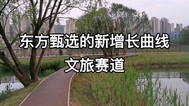 俞敏洪为东方甄选找到的新增长曲线:进军文旅行业