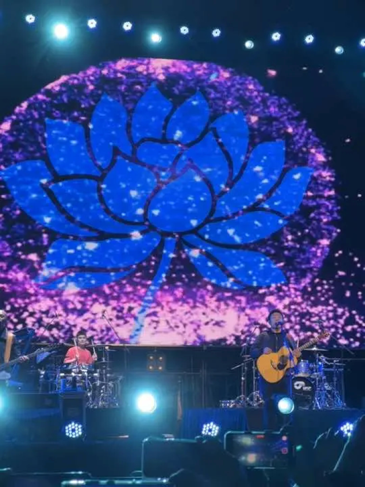 没有什么能够阻挡,你对自由的向往#许巍 #蓝莲花 #临沂琅琊云雀音乐节