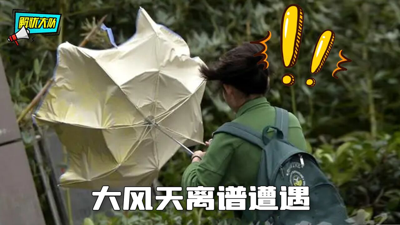 刮风天的离谱遭遇,虽然心疼,但是很难不笑_腾讯视频}