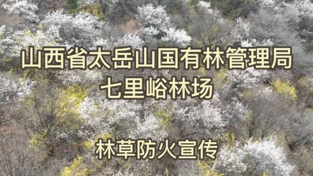 林草防火宣传——山西省太岳山国有林管理局七里峪林场