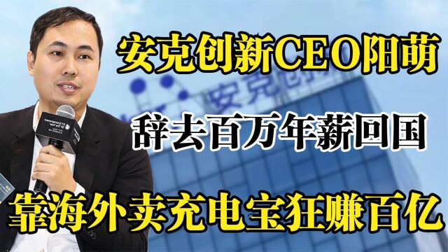 安克创新CEO阳萌,辞去百万年薪回国,靠海外卖充电宝狂赚百亿