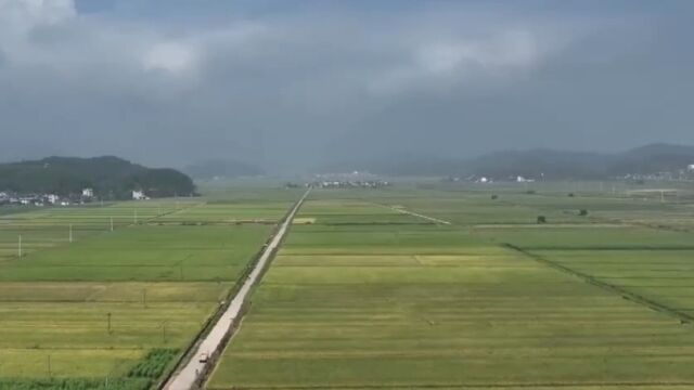 福建浦城:35万亩中稻迎来收割高峰