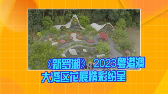 《新罗湖》以花为媒 融通湾区 2023粤港澳大湾区花展精彩纷呈