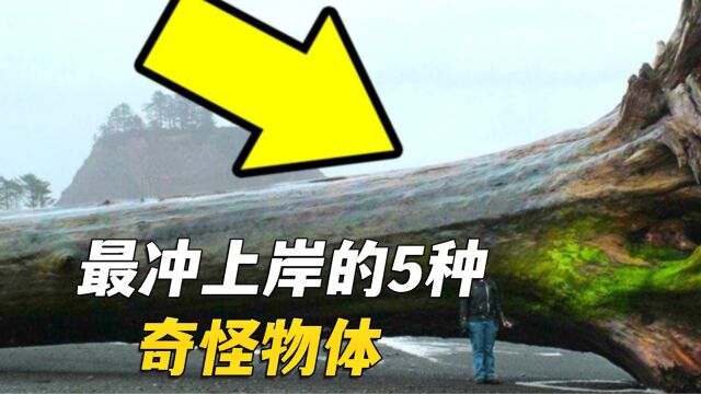 盘点海滩上发现的5个最不可思议的东西