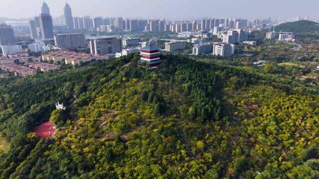 枣庄龟山秋色迷人 层林尽染美如画卷