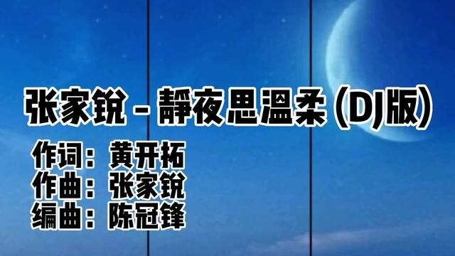 张家锐 静夜思温柔 (DJ版)#每日好歌