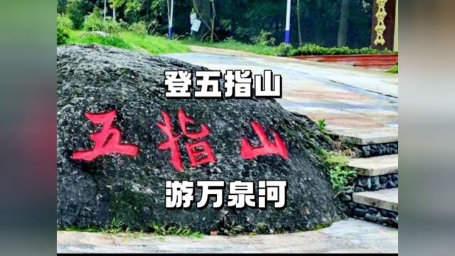 登上五指山也没有看到峰顶、遮天蔽日的热带雨林、只缘身在此山中吧.印象不好的是万泉河景区、河边一个小公园、找了半天就两个红色娘子军塑像.还有...