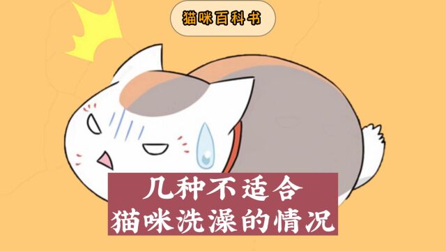 这几种情况下,猫咪不适合洗澡