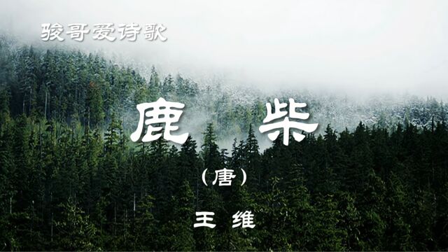 骏哥爱诗歌:王维《鹿柴(zhai寨)》,经典唐诗赏析