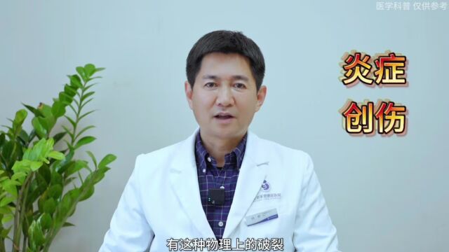 白泉什么是抗精子抗体?