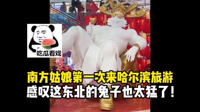 南方姑娘第一次来哈尔滨旅游感叹这东北的兔子太猛了!