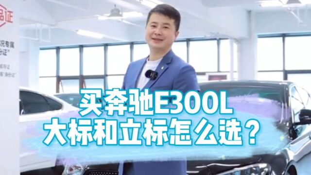 买奔驰E300L,大标和立标怎么选?