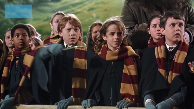 Learn English Expressions with Harry Potter and the Order of the Phoenix