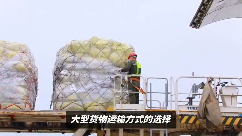 大型货物运输方式选择 #上海仓储物流 #上海大件运输公司 #上海同城物流