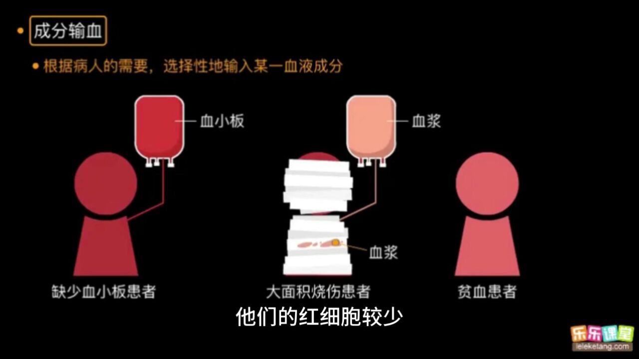 第四章人体内物质的运输_输血、成分输血和献血_高清1080P在线观看平台_腾讯视频