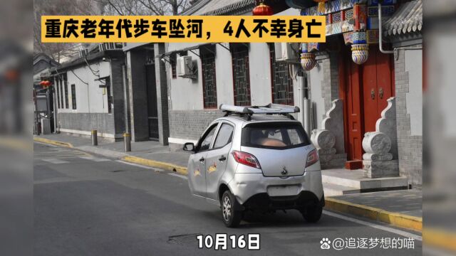 重庆南川区老年代步车坠河事故:4人不幸身亡