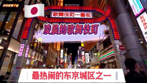 歌舞伎町是日本东京都新宿区的一个著名的夜生活区，里面有很多酒吧、夜总会、卡拉OK等娱乐场所。夜晚街道上灯火通明，霓虹灯闪烁不断，人们来来往往，热闹非凡。街头艺人