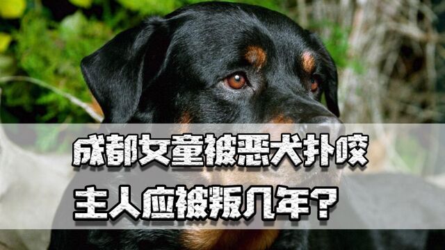 成都女童被恶犬扑咬,主人应被判几年?有无办法彻底杜绝此类事件