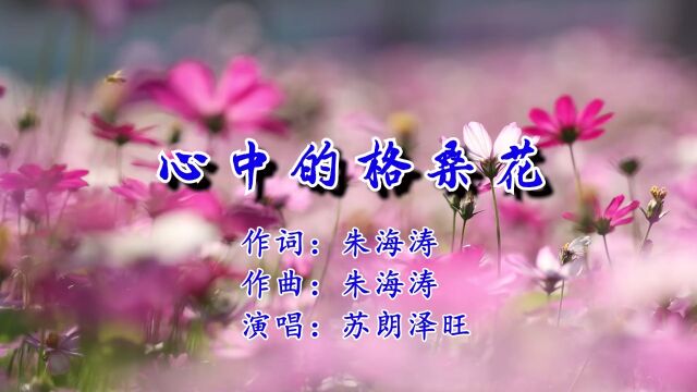 心中的格桑花 作词:朱海涛 作曲:朱海涛 演唱:苏朗泽旺