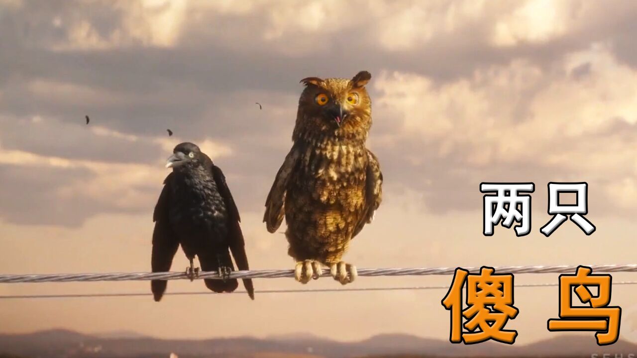 两只傻鸟站在电线上,享受着被电的感觉!真是想不通《两只傻鸟》_高清1080P在线观看平台_腾讯视频