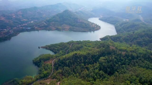 瞰中国|山东临朐:听松涛之声,探自然之秘