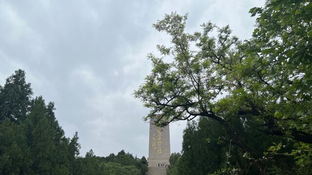 小学生祭扫活动