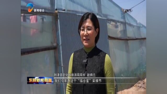 陈庄镇系列文旅活动暨第十届“临合蜜”采摘节举行