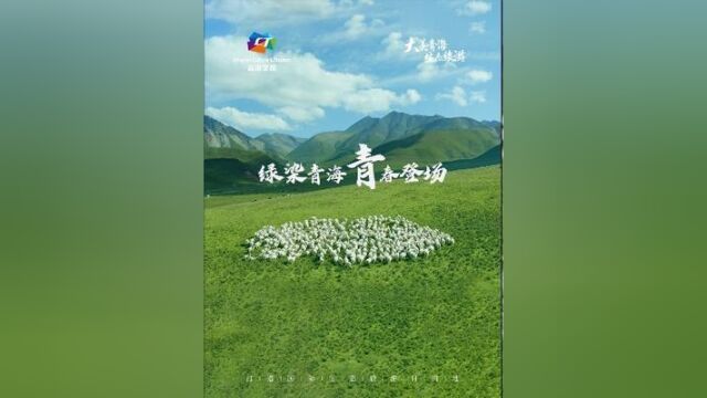 绿染青海,青春登场,听,飞鸟轻鸣听,草芽破土听,次第花开新绿绽放在青藏高原与自然共谱一首青春的序曲