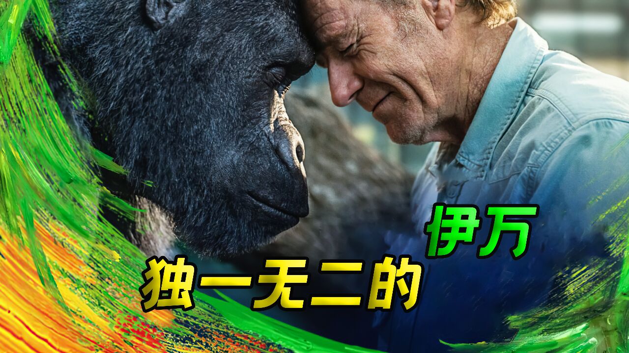 动物园里的银背大猩猩,居然带着里边的动物逃跑了《独一无二的伊万》_高清1080P在线观看平台_腾讯视频