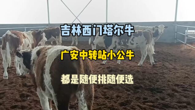 我也想学李老师一样,接个大业务,搞个大工程,讲个散打评书