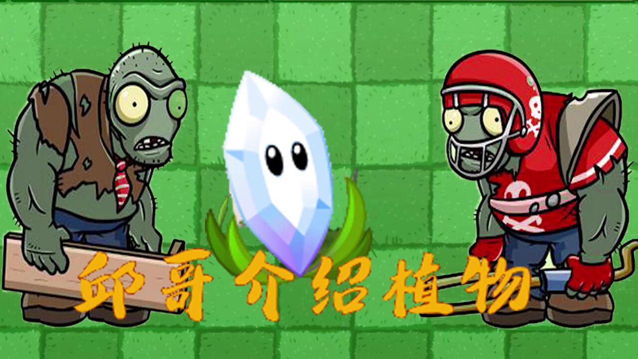 089邱哥介绍植物:植物大战僵尸之棱镜草!