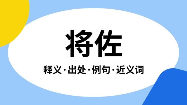 “将佐”是什么意思?