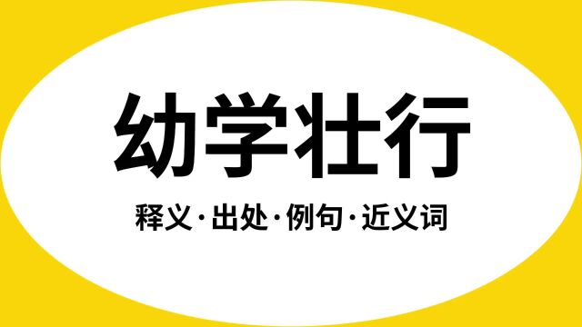 “幼学壮行”是什么意思?