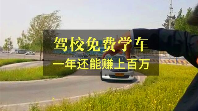 第4集:驾校免费学车,一年还能赚上百万