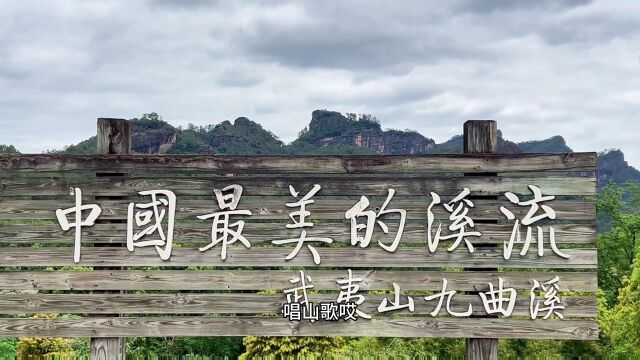 武夷山九曲溪竹筏漂流,顾名思义,是溪水绕着山迂回曲折,形成九个曲,每一曲都有自己不同的风格特点.古诗云:“青峰作杯水当酒, 醉我童心溪中游”...