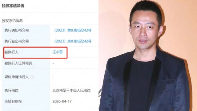 汪小菲所持麻六记20万股权被冻结:期限三年