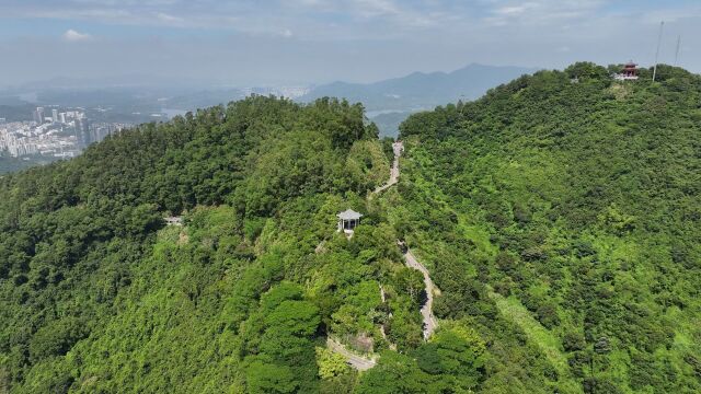 塘朗山智慧跑道:科技与传统结合,为重阳节增添新魅力