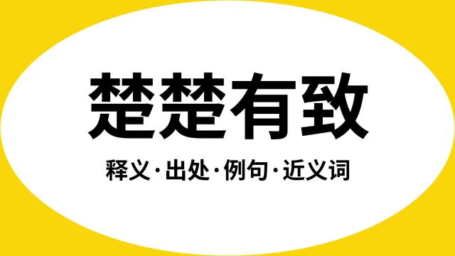 “楚楚有致”是什么意思?