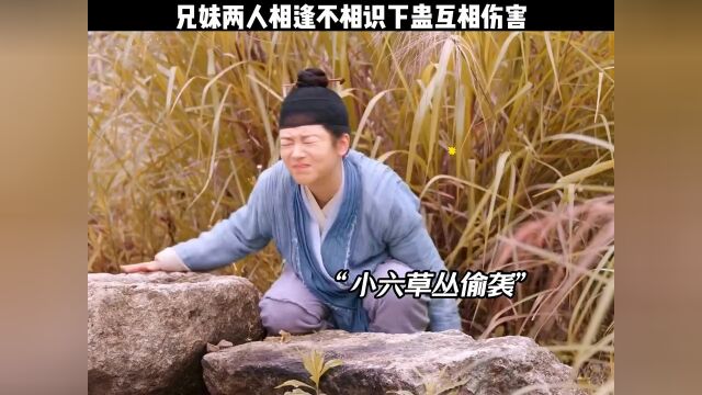 小六化身辅助伤敌八百自损一千