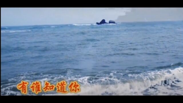 怀旧经典:沈小岑演唱的歌曲《我踏浪而来》