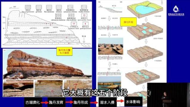 2023年度第三期【专家讲堂】录播已上线,敬请观看