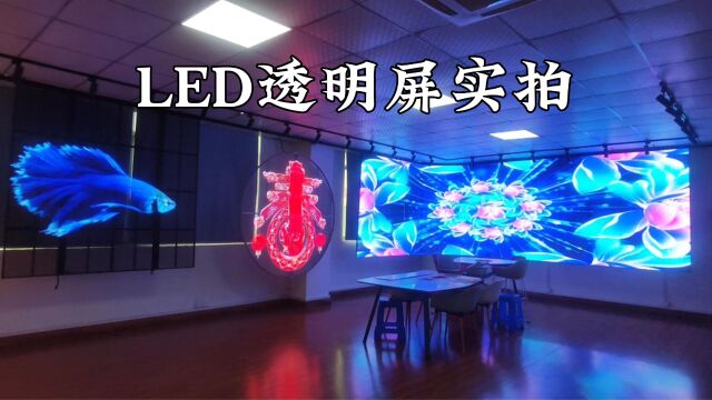 LED透明屏实拍